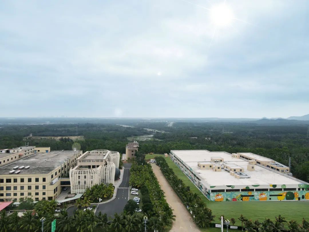 光春食品店,春光食品进军椰汁