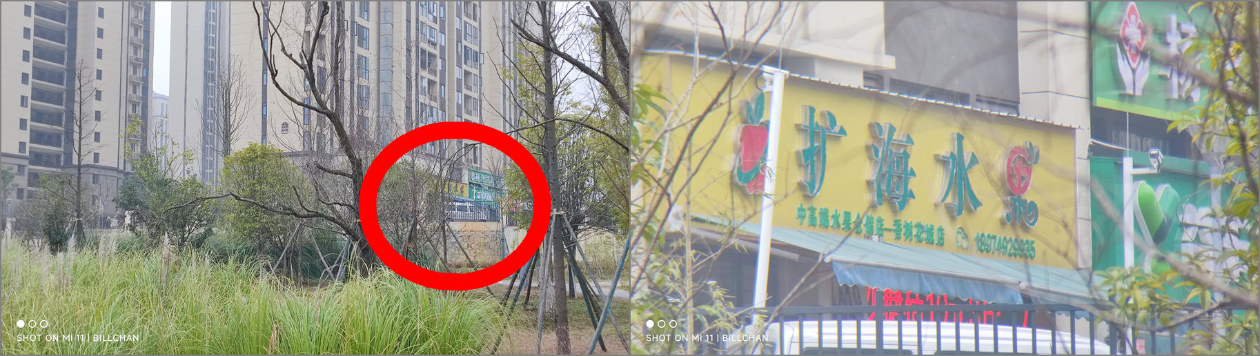 不到二百，儿时的又一个梦想得以实现！星特朗几何单筒望远镜评测