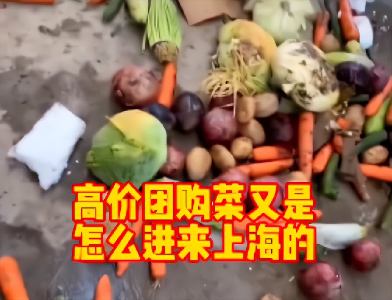 上海滩发国难财的人，开始被狠狠清算