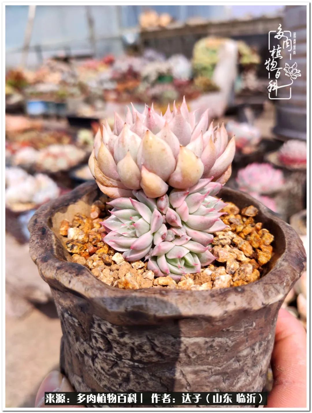 活在当下珍惜眼前平凡的生活,活在当下感慨万千