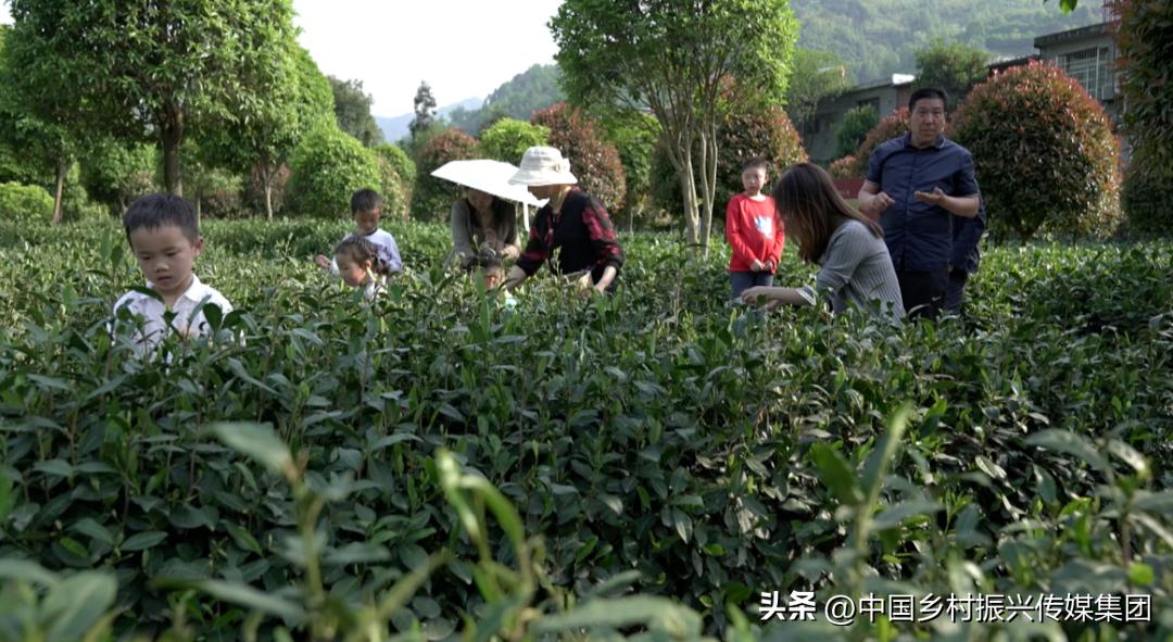 2023乡村振兴申报项目及补贴,振兴乡村国家有哪些资金扶持项目