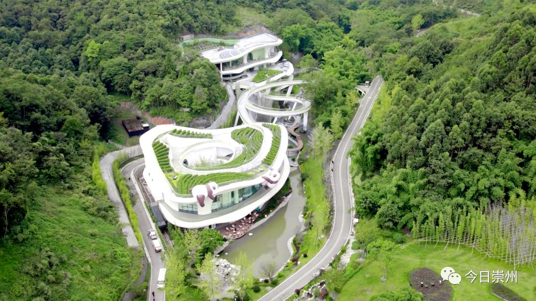 崇州今年开工建设的项目有哪些,征集市政府民生实事项目通告