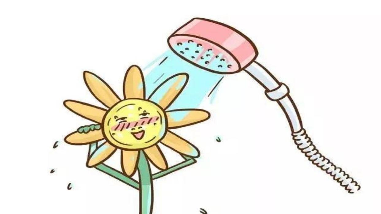 每天洗肛门最好的方法,清洗肛门有什么方法吗