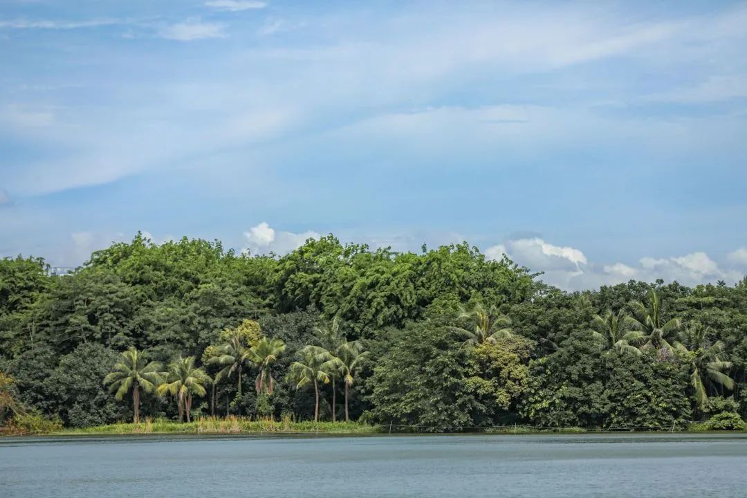 我为什么建议你来北上广深奋斗,我为什么建议你留在一线城市