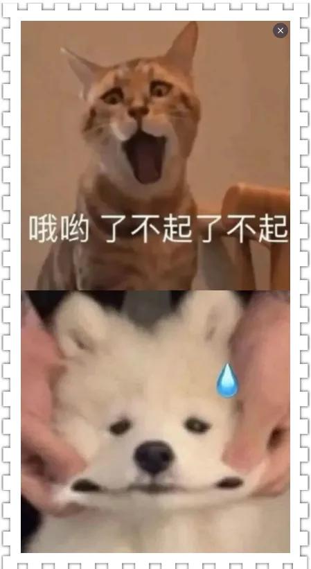 微信朋友圈怎样把照片拼接成长图,如何将几张图片拼接成长图