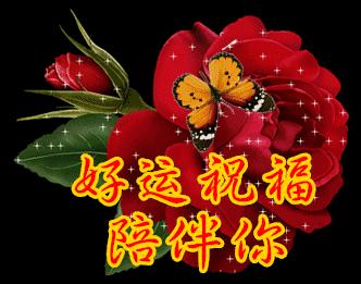 分享快乐早安图片,分享早安图片最新版