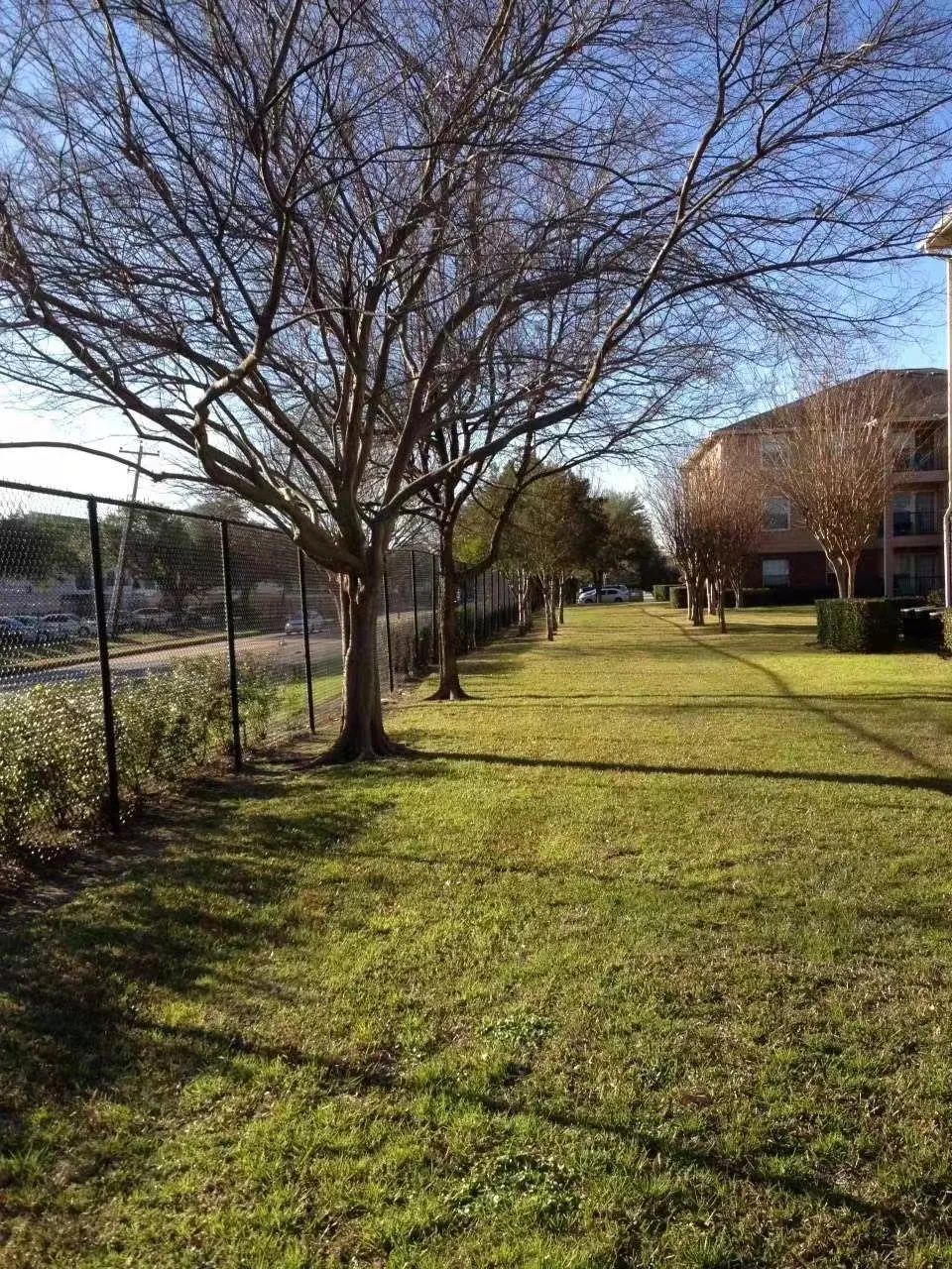 自己赴美就医难吗,赴美就医后续