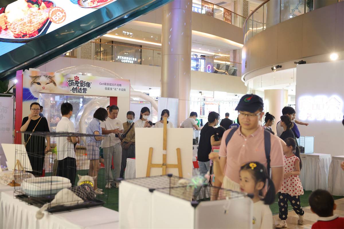 端午撸猫乐趣尽在“猫21×佳能萌宠影像创造营“广州站
