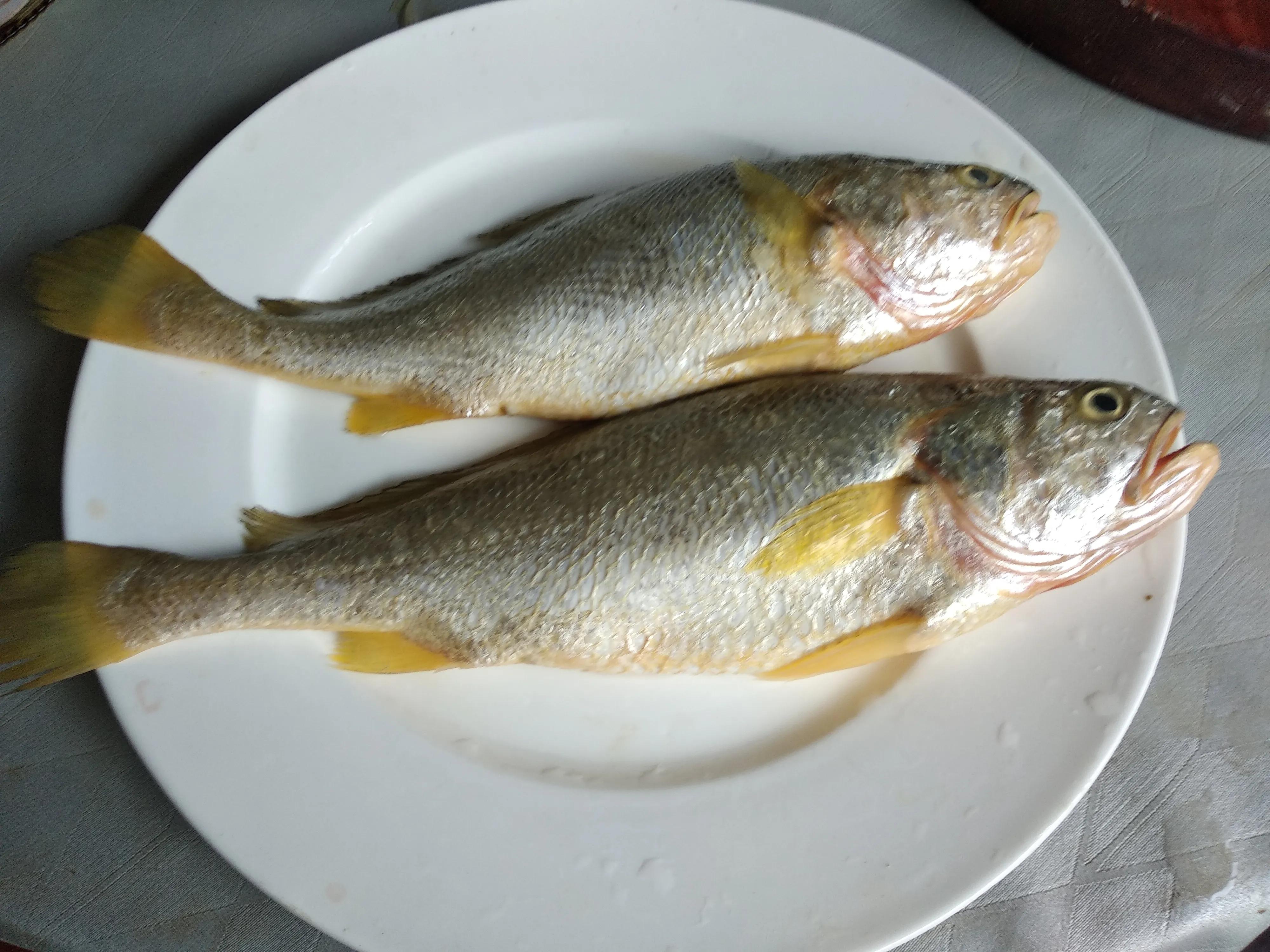 30种最常吃的海鱼图片大全,比较常见可以吃的海鱼