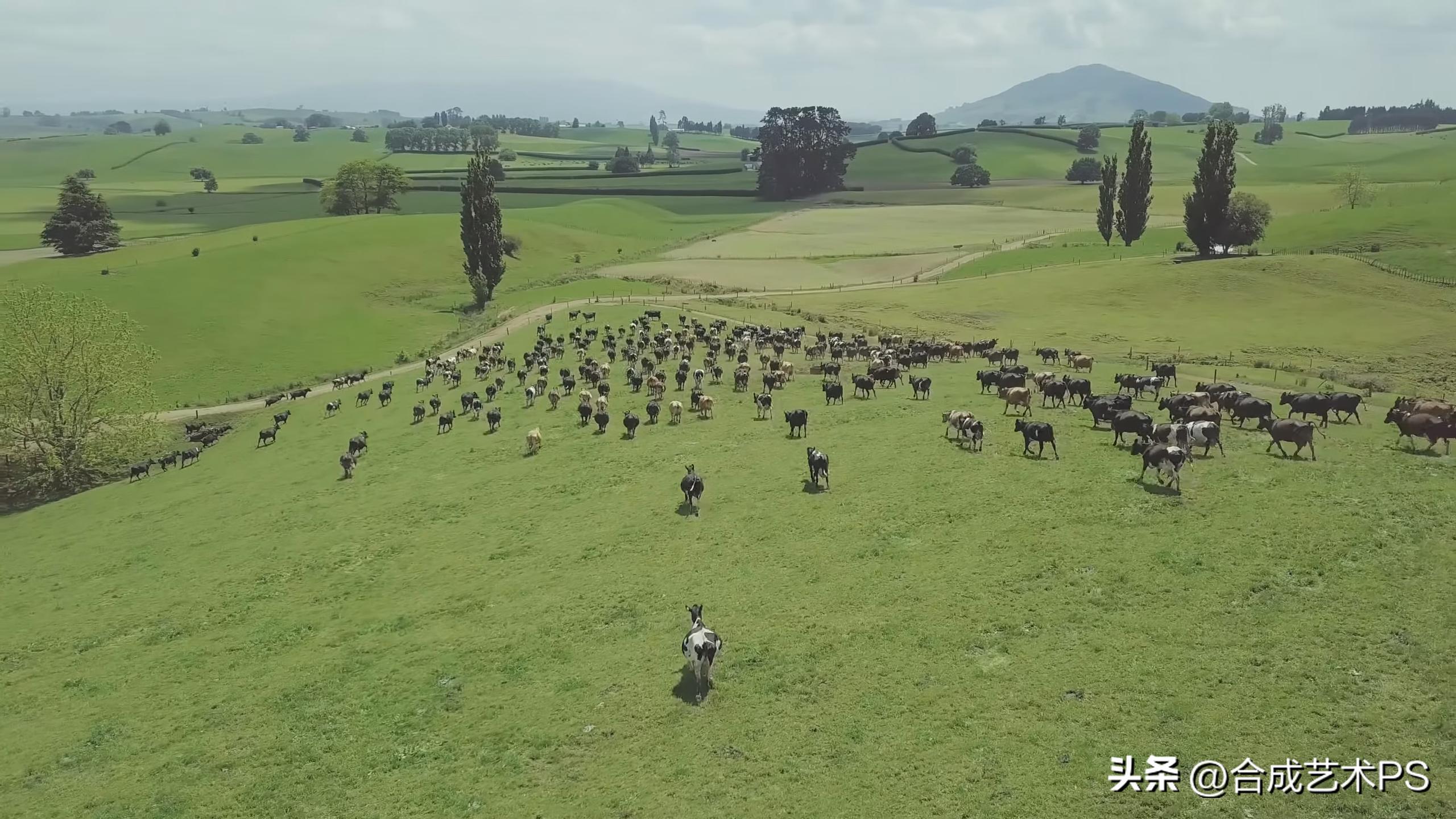 新西兰乡村风景,世界独一无二的新西兰景色