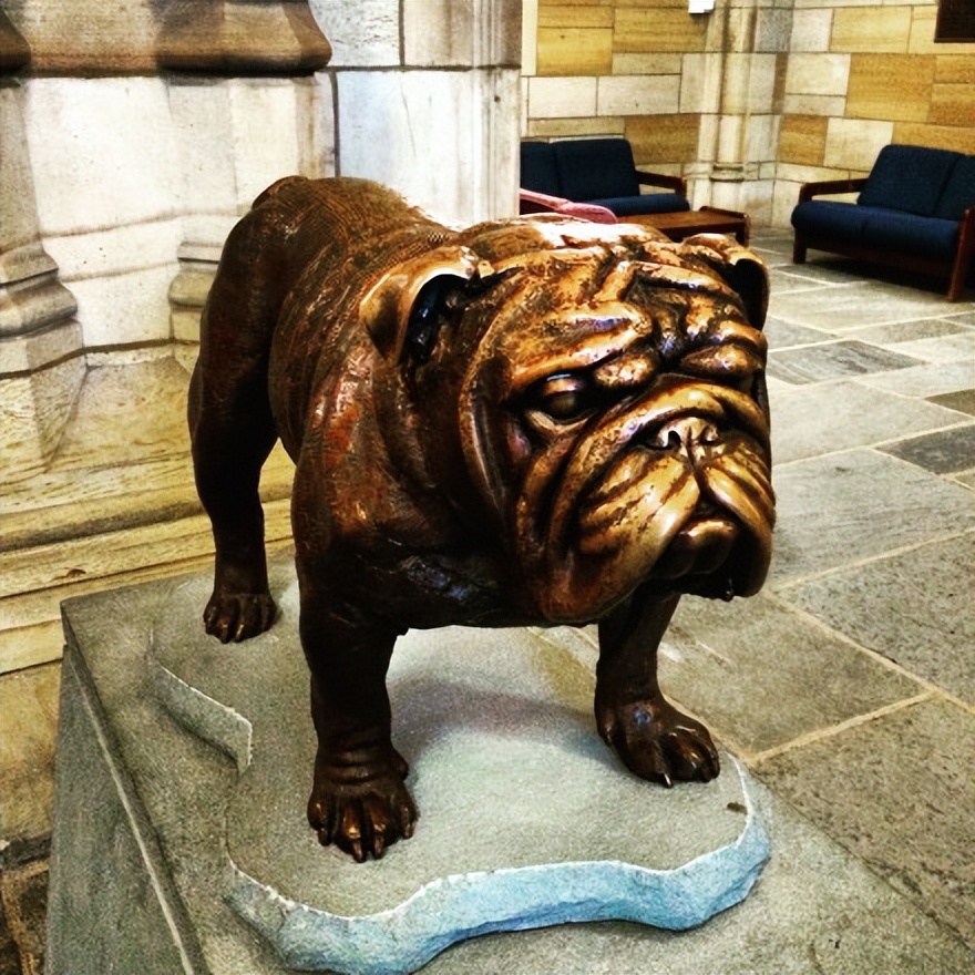 耶鲁大学建立的历史,耶鲁大学相当于我国哪所大学