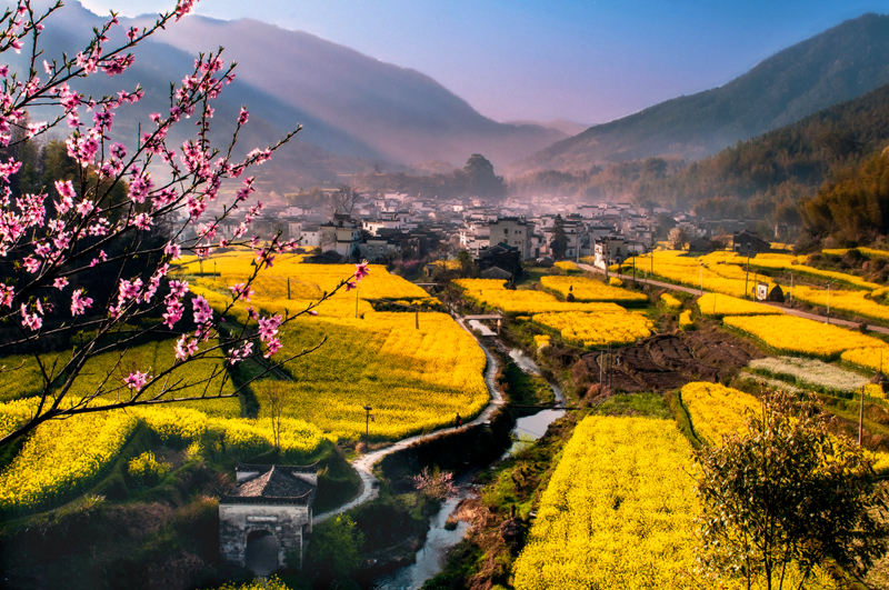 春色满园风景摄影,婺源摄影写真