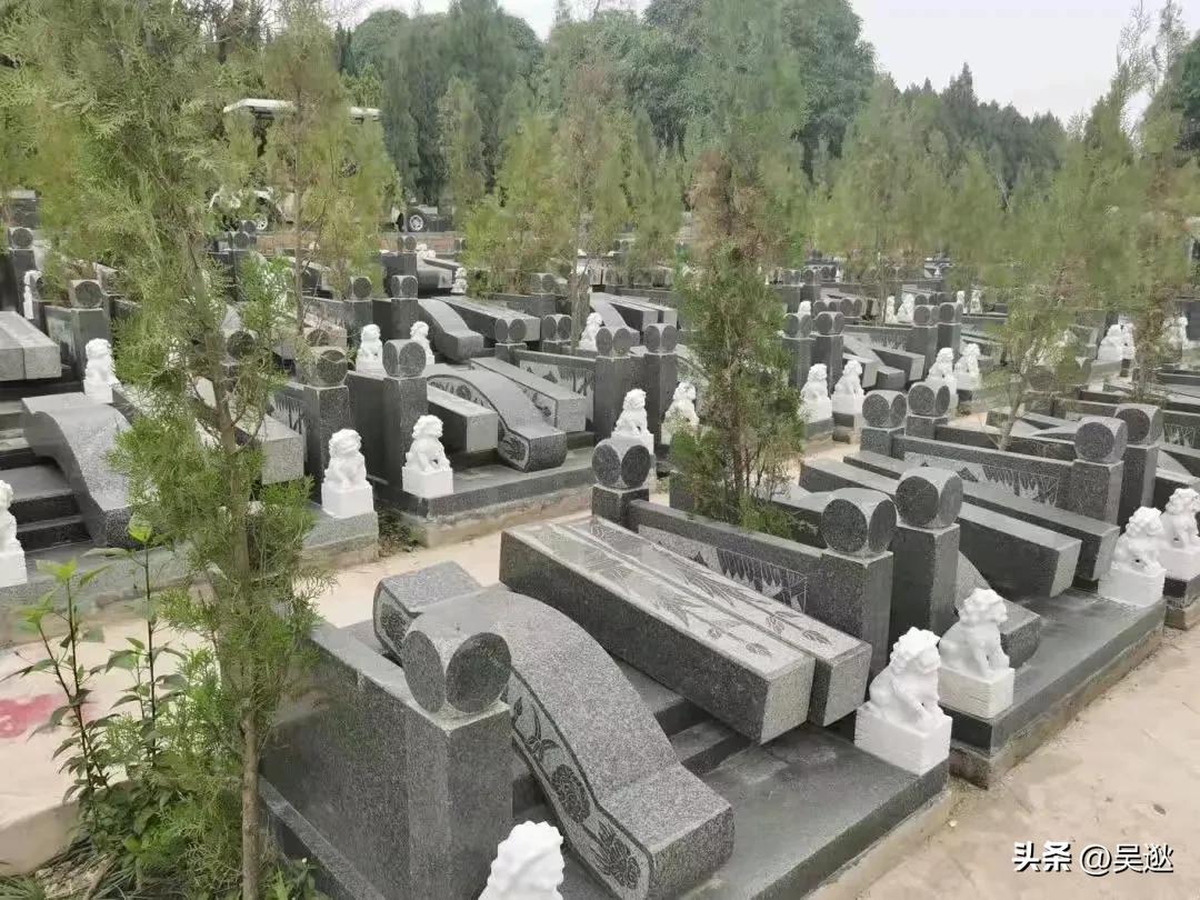 委员建议设立养老院,委员提案给农民退休金