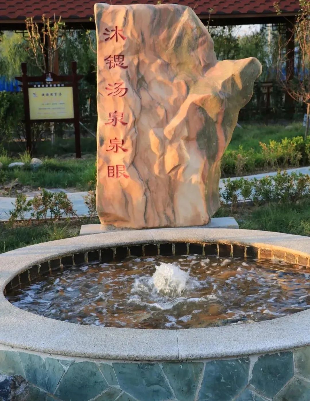 冬天一碗汤暖心又暖胃,初冬的幸福感