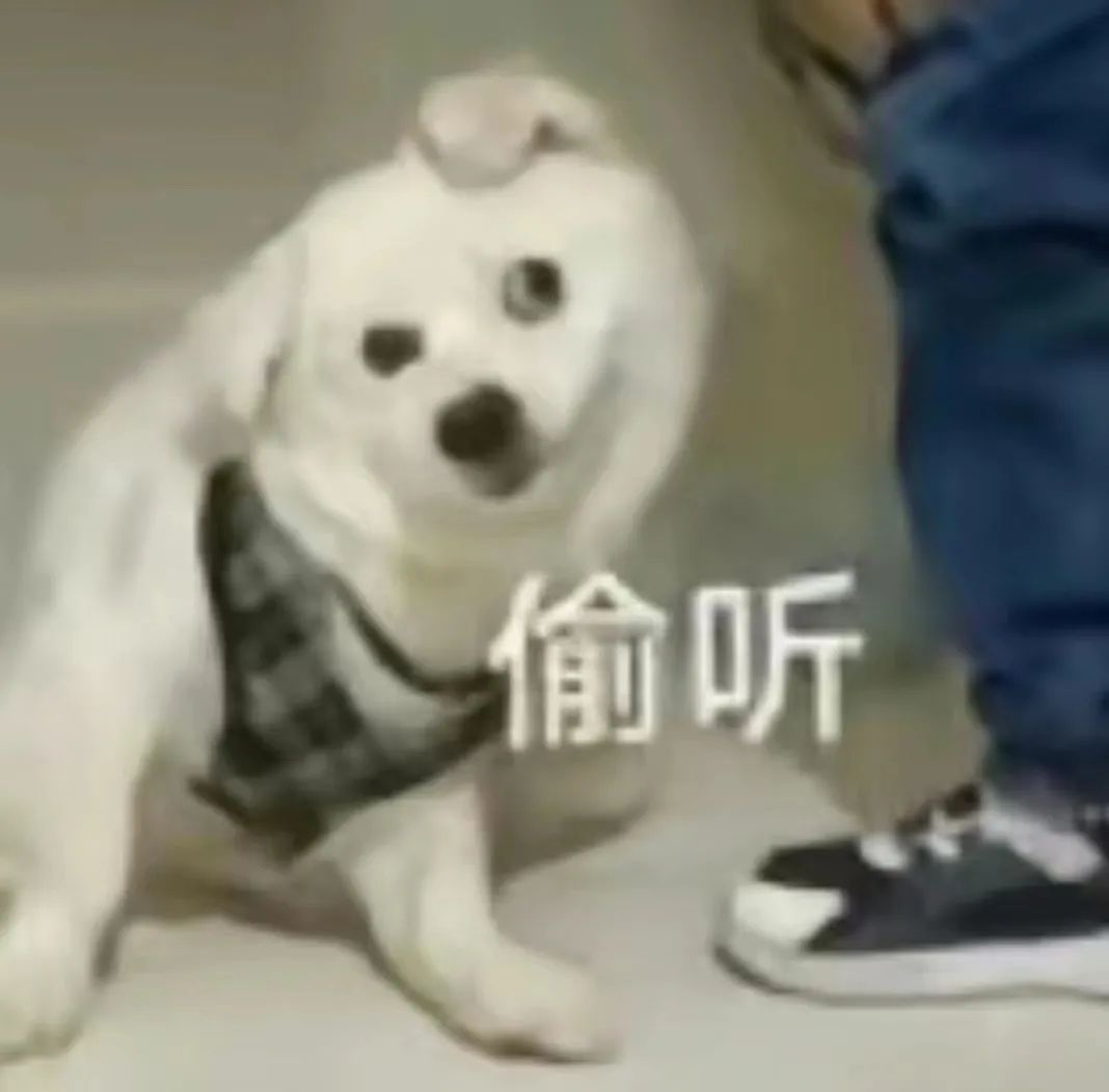 四六级成绩几年有效期,四六级成绩有效期是多久