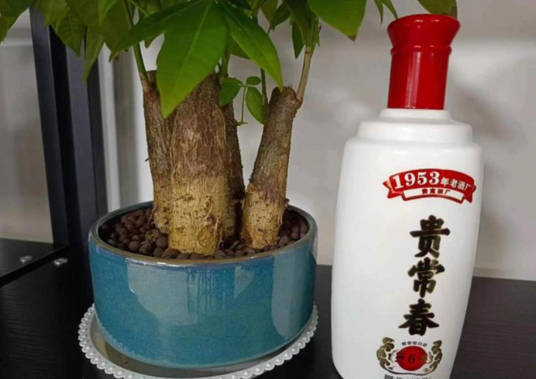 哪些白酒是真正纯粮酒,哪些酒是纯粮固态白酒