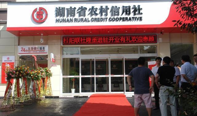 2024年各农村信用社存款利率,2021年农村信用社存款利率一览表