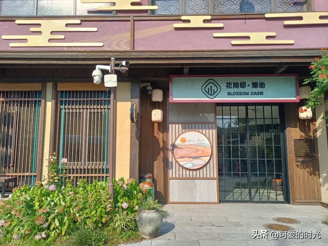 青岛旅行推荐的酒店宾馆,青岛有哪些值得推荐的酒店
