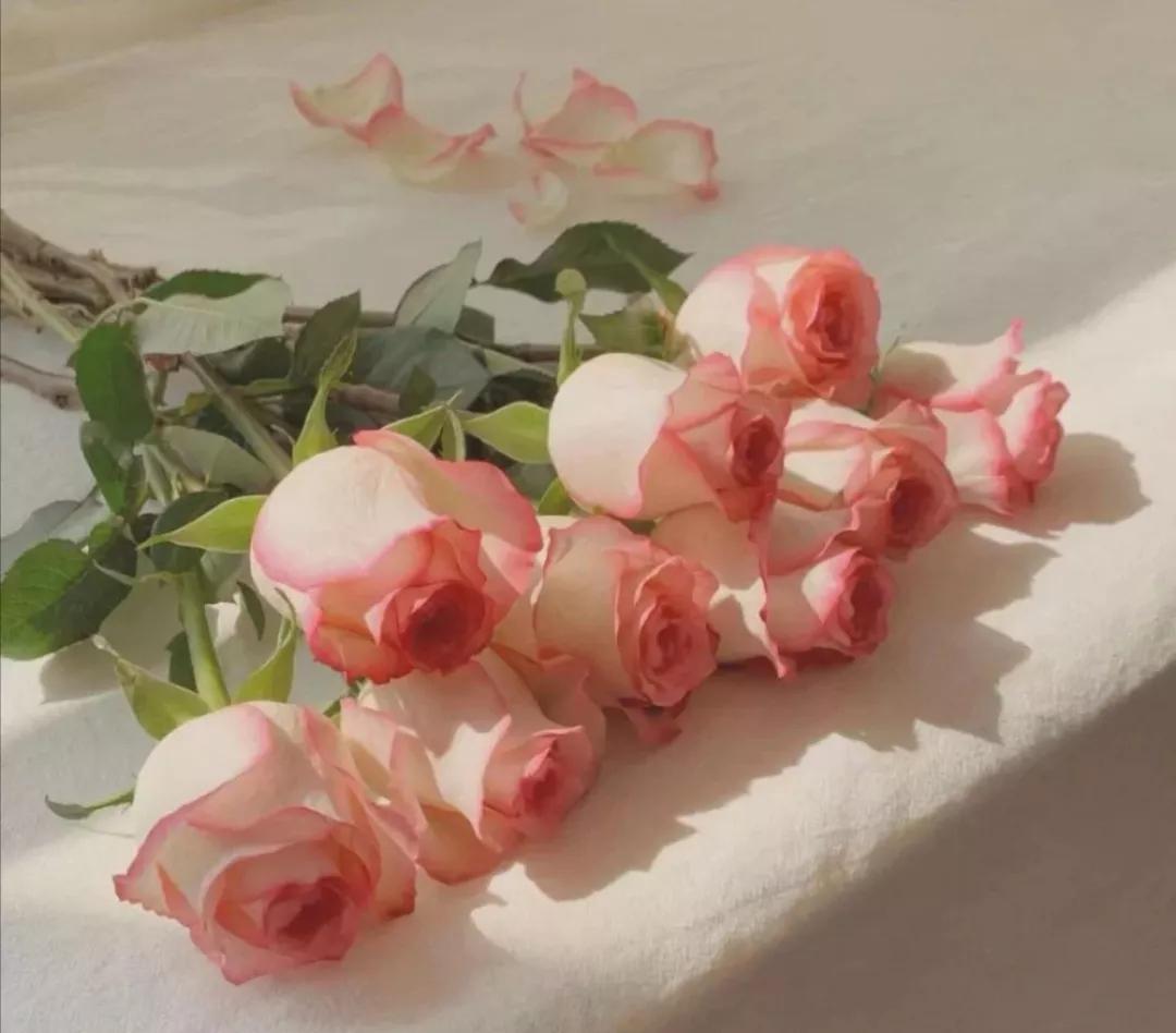 凤凰男面对原生家庭的无度索取,凤凰男把自己的原生家庭放在首位