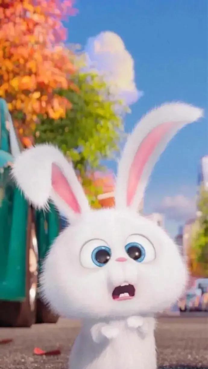 大灰狼与七只小白兔的故事,讲故事大灰狼与小白兔的故事