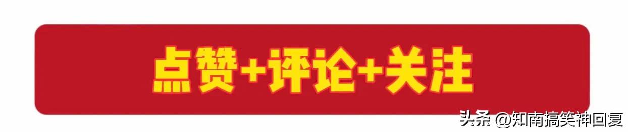 神回复绝了全是套路,神回复如果是你你会怎么选
