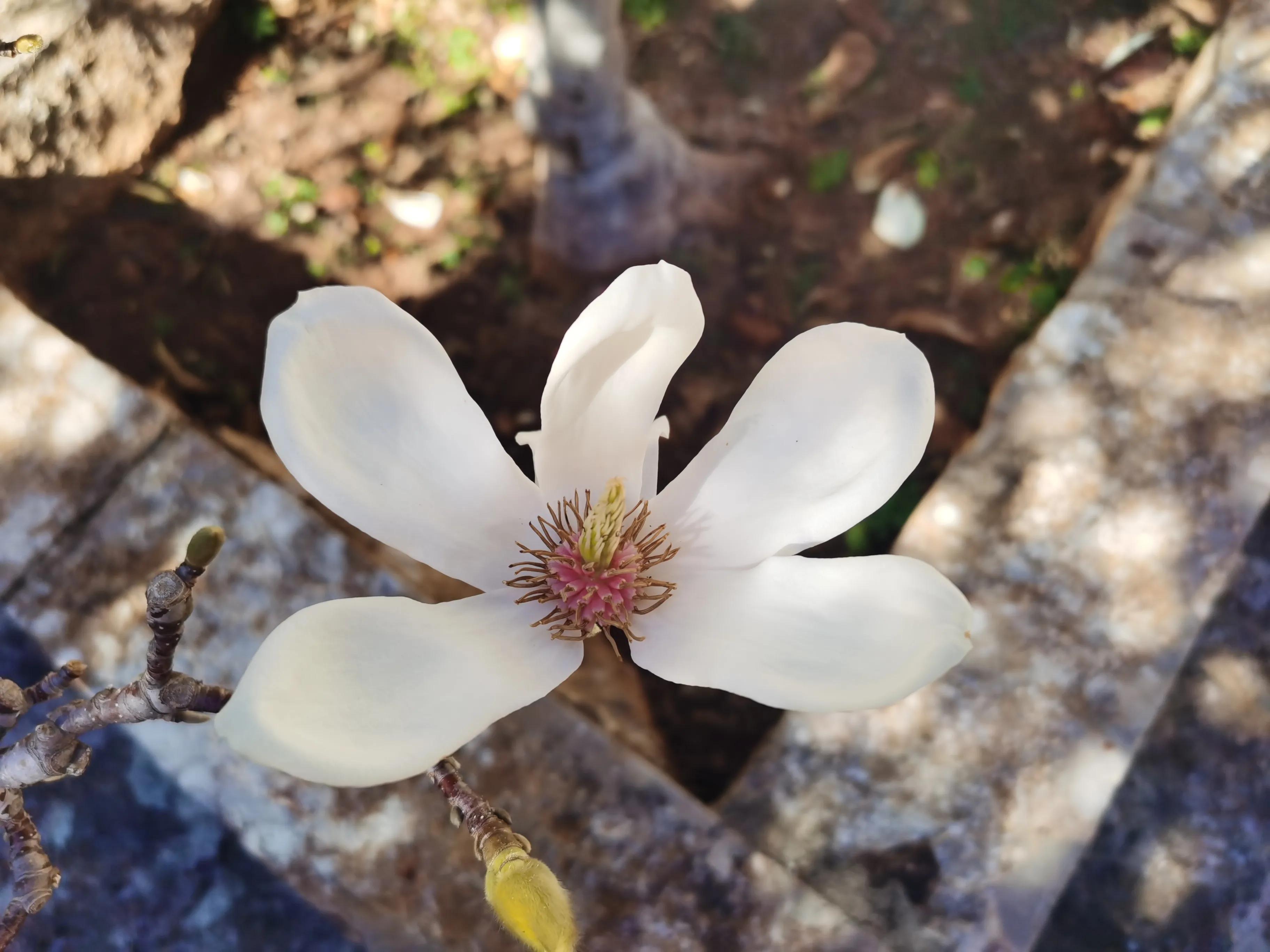 被上天眷顾的地方是哪里,传说中的木府