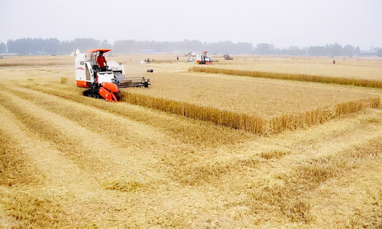 美国无法阻止中国的崛起,美国难以超越吗