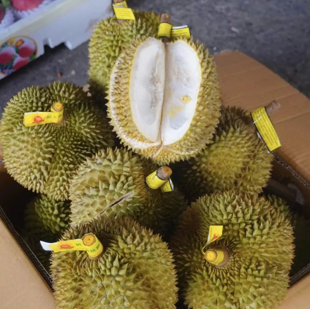 内江打假网红店,打假网红店贵阳