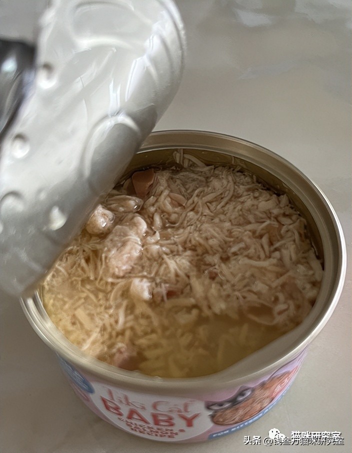 流浪猫幼猫主食罐推荐,幼猫主食罐推荐