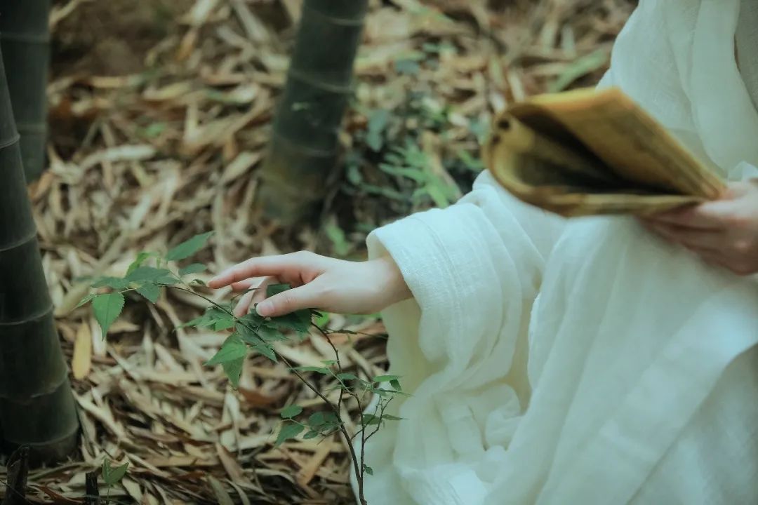 林深时见鹿溪午不闻钟李白,盘点李白最温柔的诗词