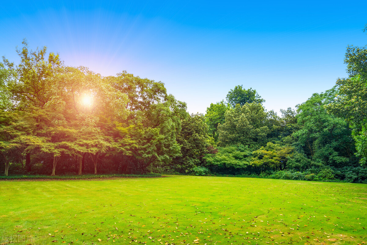 曾军良校长演讲心得体会,曾军良校长培训心得