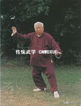 太极拳中的圆裆怎样做,太极拳裆是指什么位置