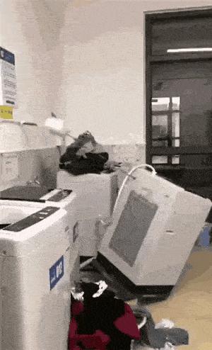 5,福利就是高清*码无**