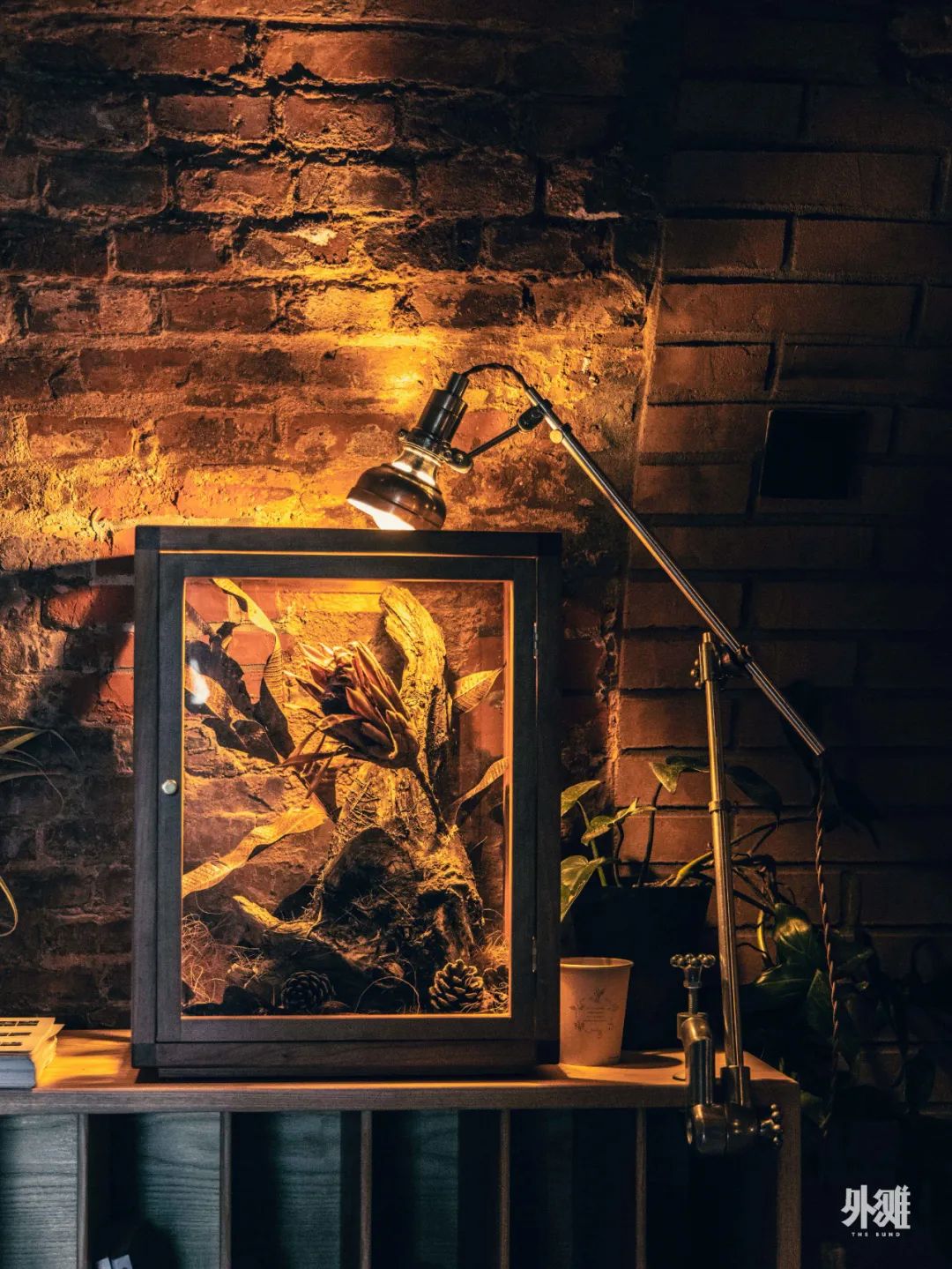 上海新晋打卡,上海复古仓打卡地