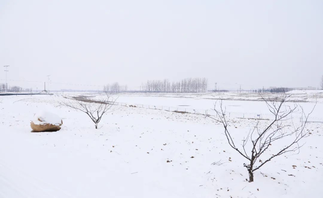 一下雪扬州就美成了广陵,一下雪新疆就美成童话世界
