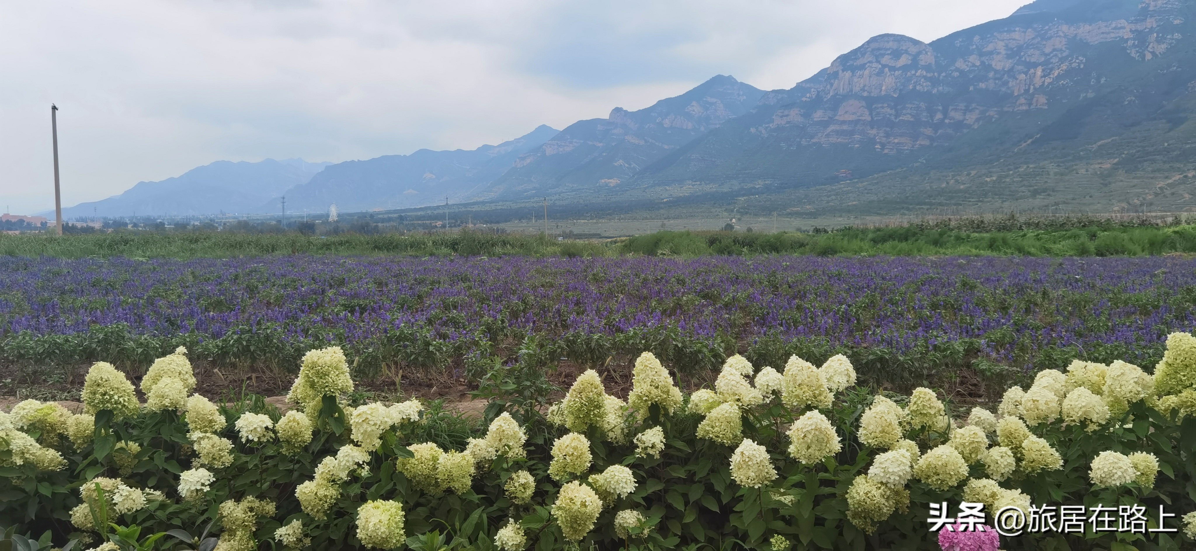 大同浑源有几个县,去恒山和悬空寺景区住在浑源好吗