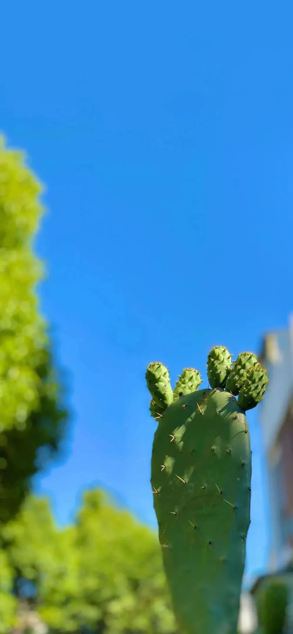 纰ц崏钃濆ぉ鎵嬫満澹佺焊瓒呮竻,钃濆ぉ缁垮湴鎵嬫満澹佺焊楂樻竻