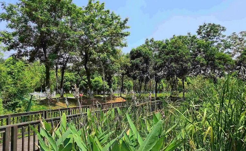 12月南京有哪些免费景点,南京市民免费旅游景点