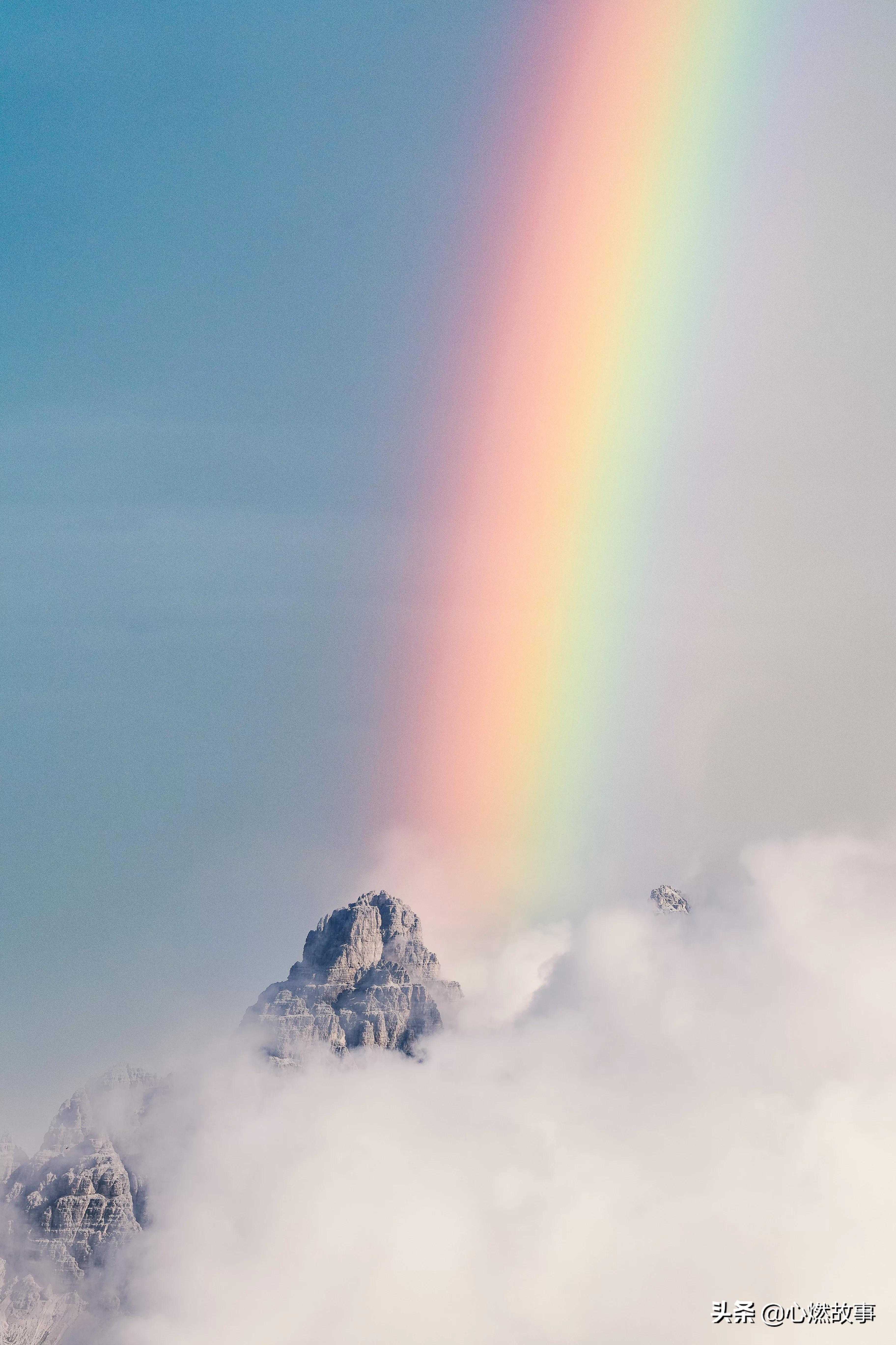 十二生肖各缺一个器官的传说,中国民间故事十二生肖的传说批注