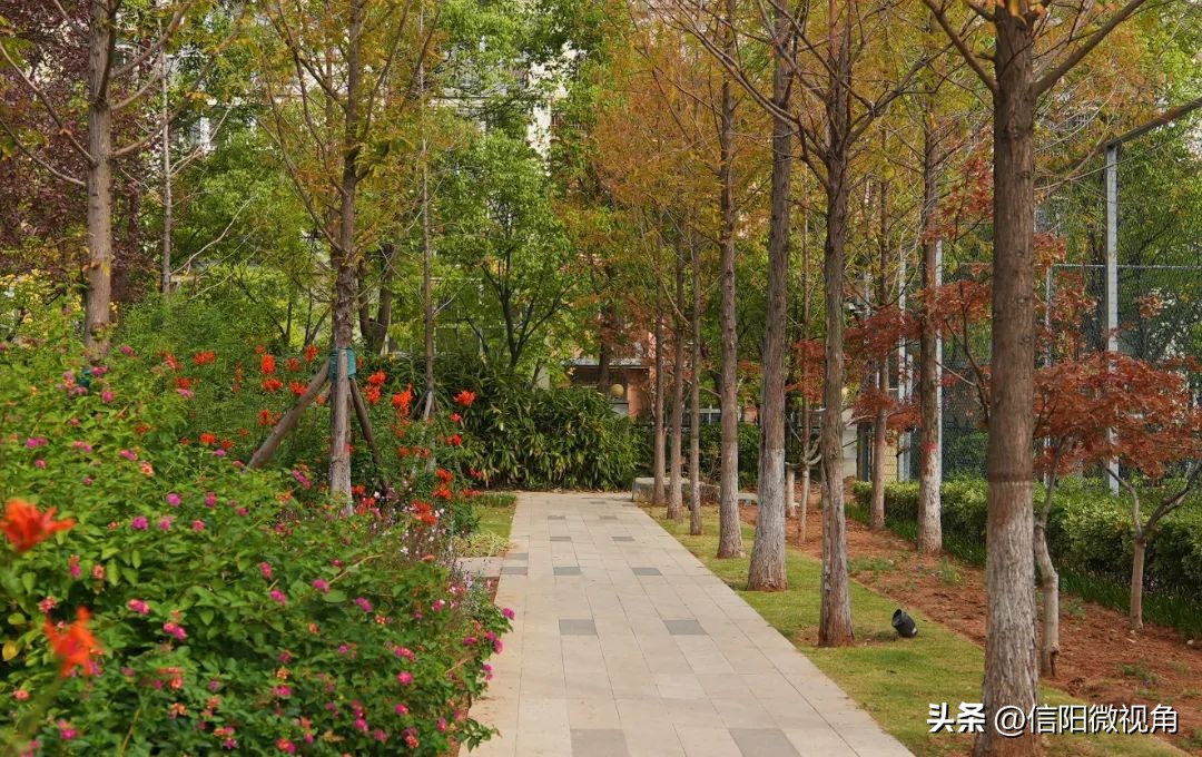 信阳羊山新区东湖风景区,信阳云赏直播间