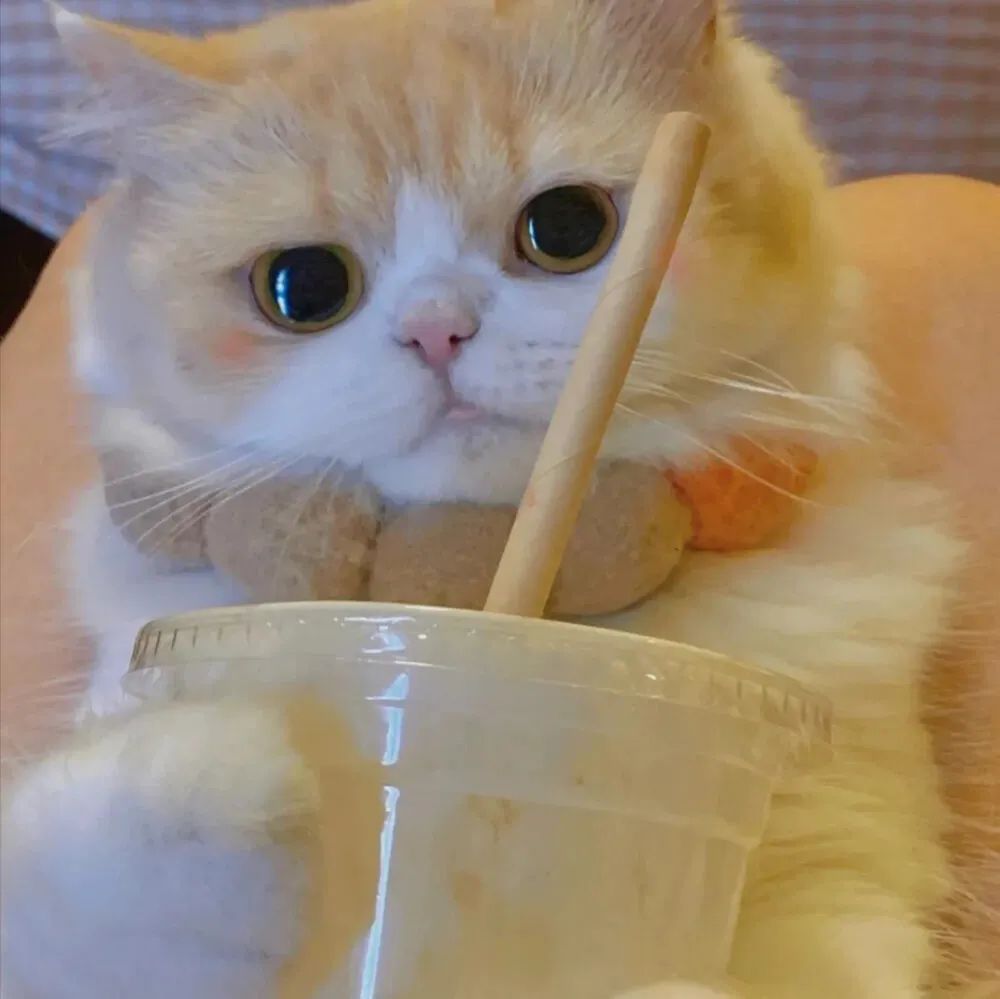 抖音男生动漫头像,抖音动漫情侣头像