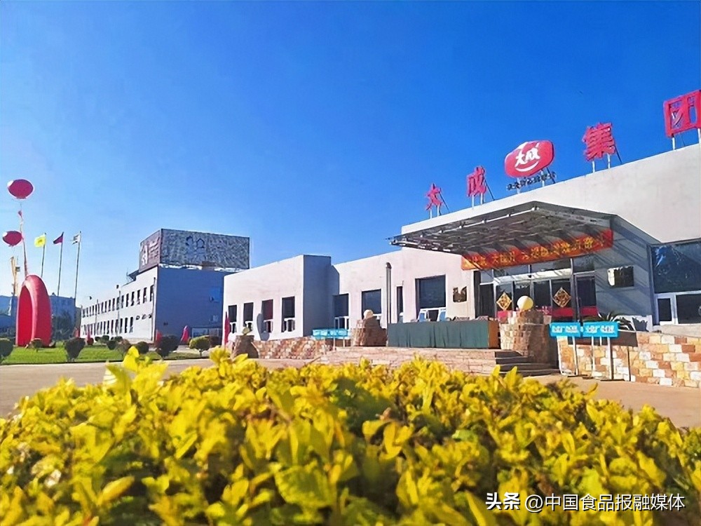 大成食品上半年扭亏,大成食品2013年报