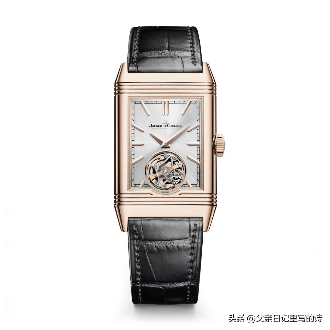 pp鹦鹉螺腕表,鹦鹉螺手表哪一款好看