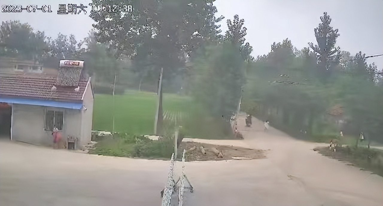 8岁女孩眼睛被打失明事件,8岁女孩被弹弓致左眼失明后续