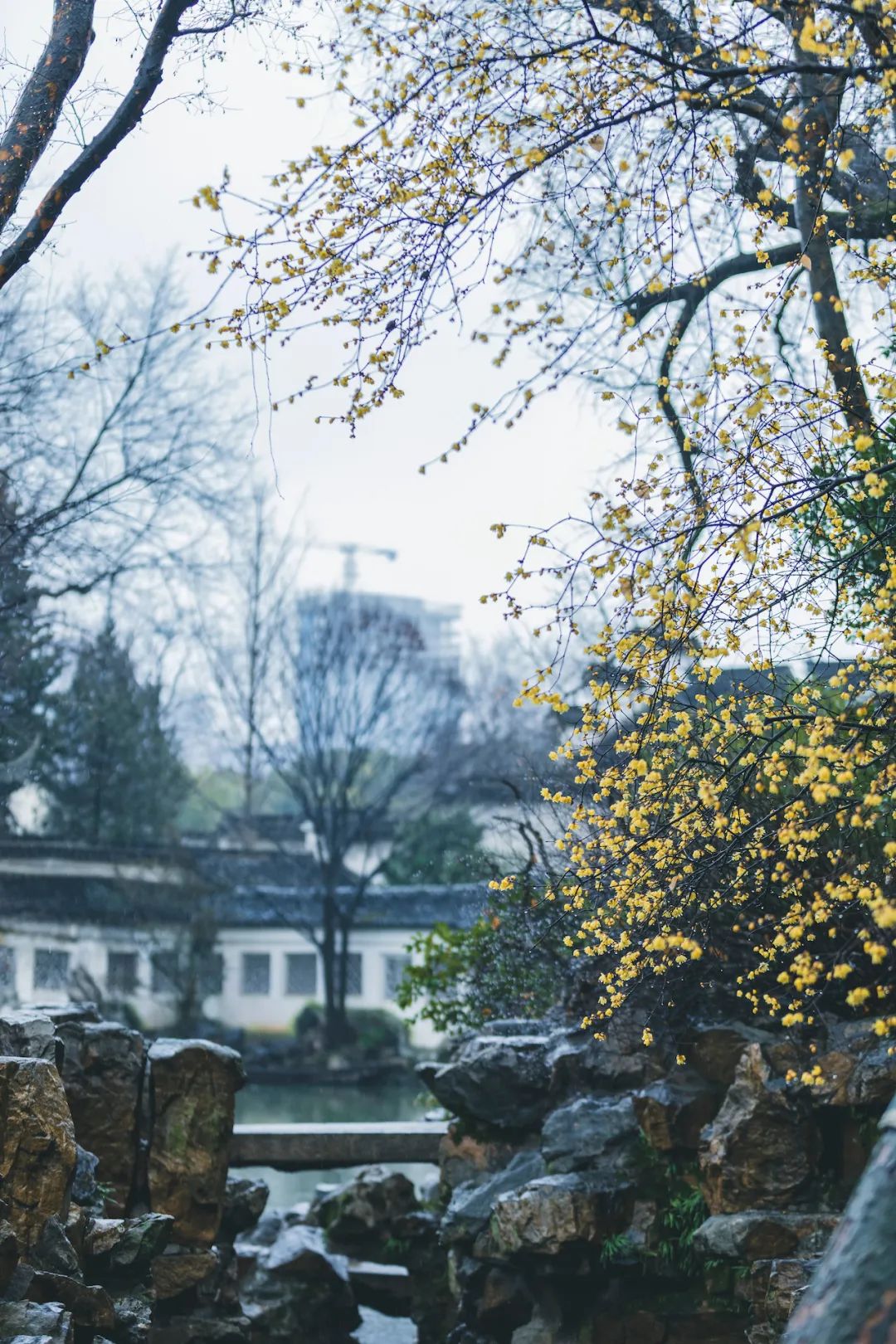 以城相见|苏州，最江南