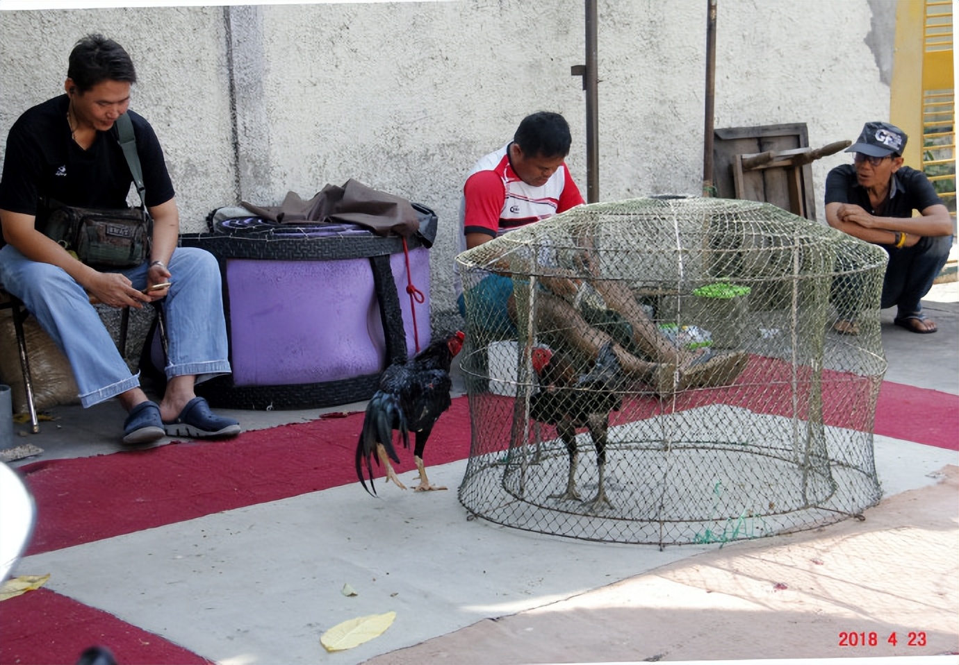 泰国自由行攻略曼谷旅游,泰国自由行掠影