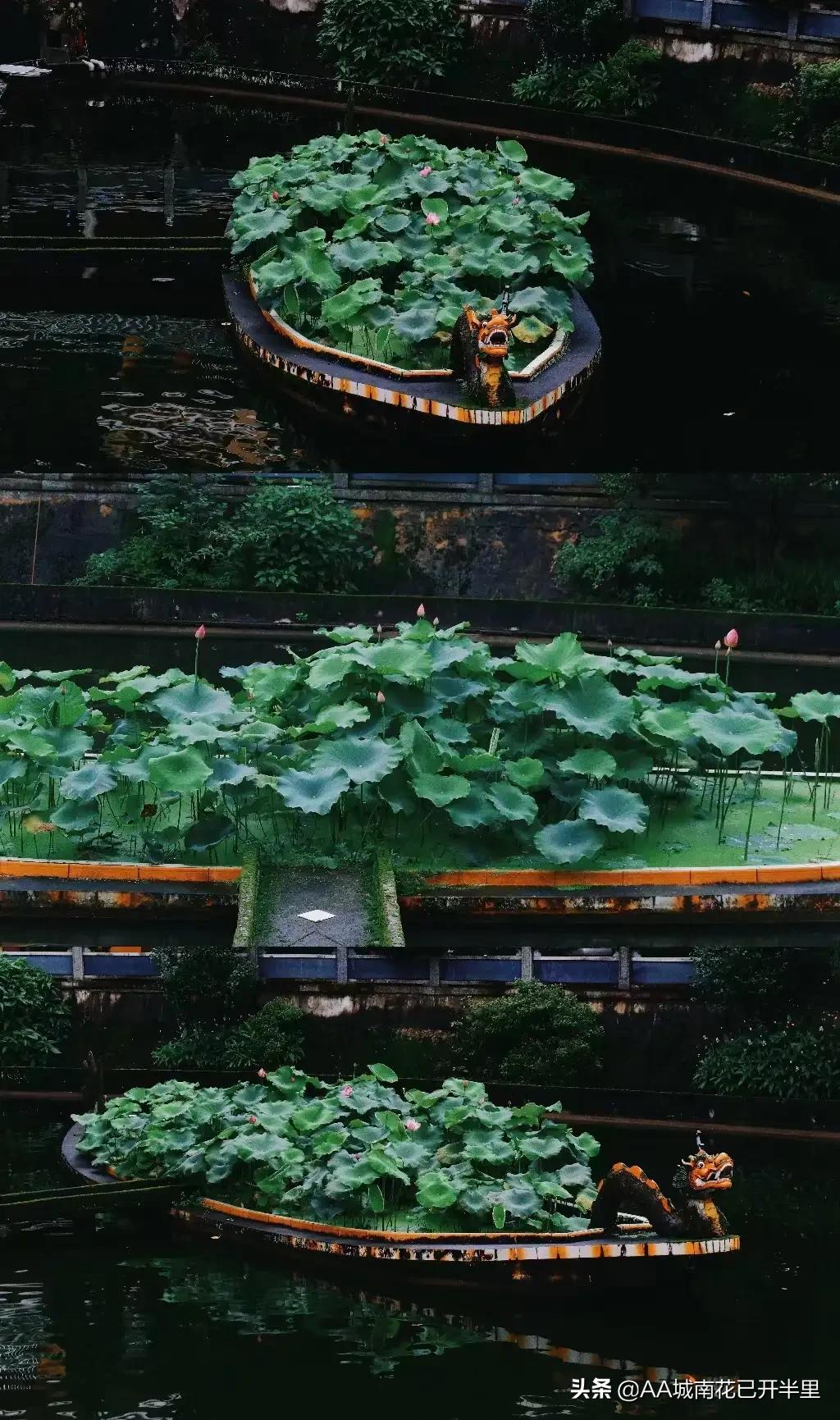 和父母借1000元被拒绝的心酸,被网友借了8万块不还怎么办