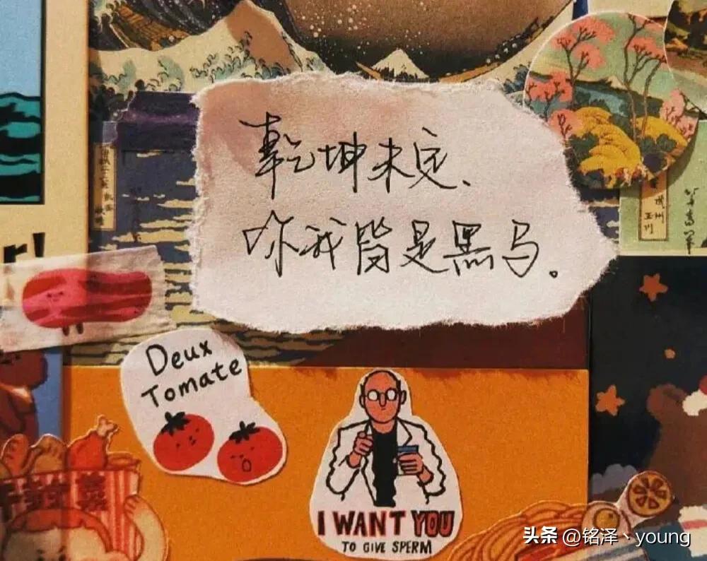 做自媒体的创业思路,乡村自媒体如何创业成功