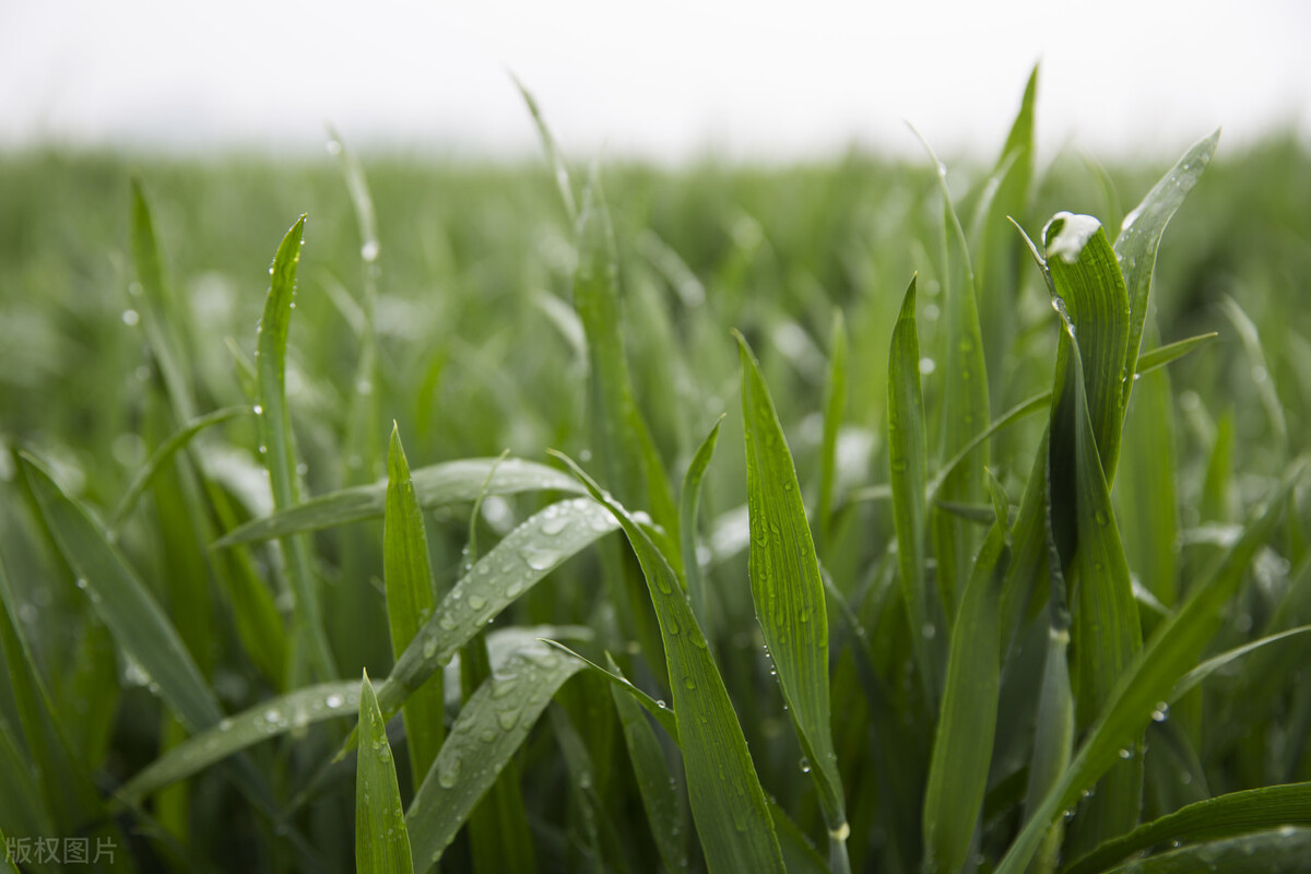 曾军良校长演讲心得体会,曾军良校长培训心得