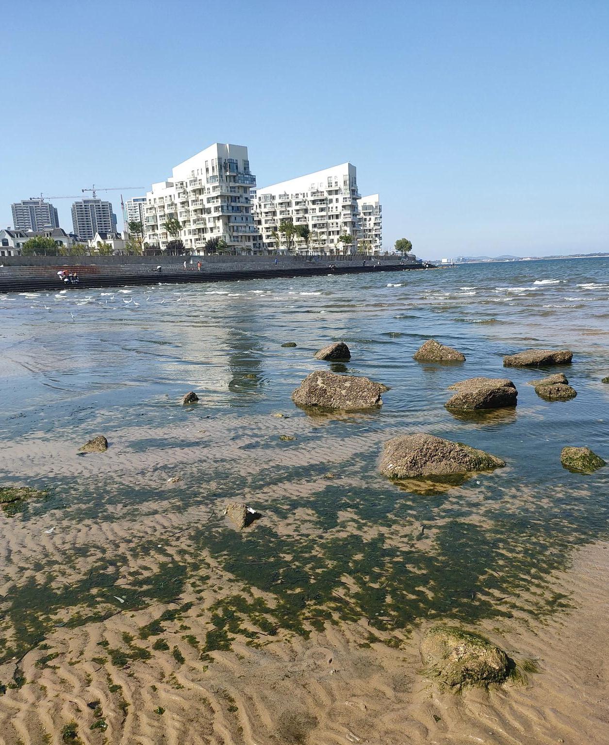 烟台气候景观特征介绍,烟台夏季气候
